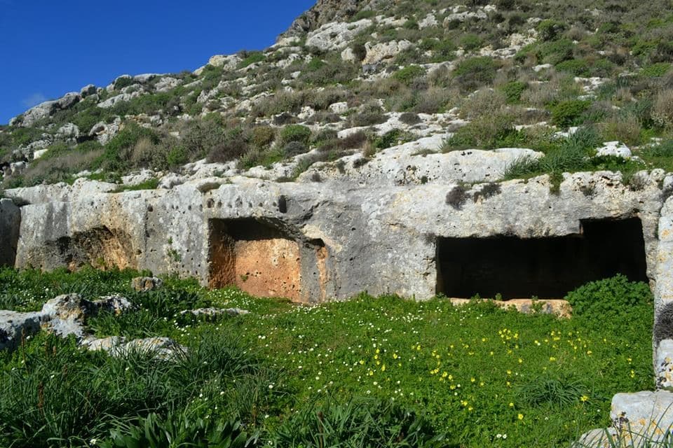 Roka Fortress 2