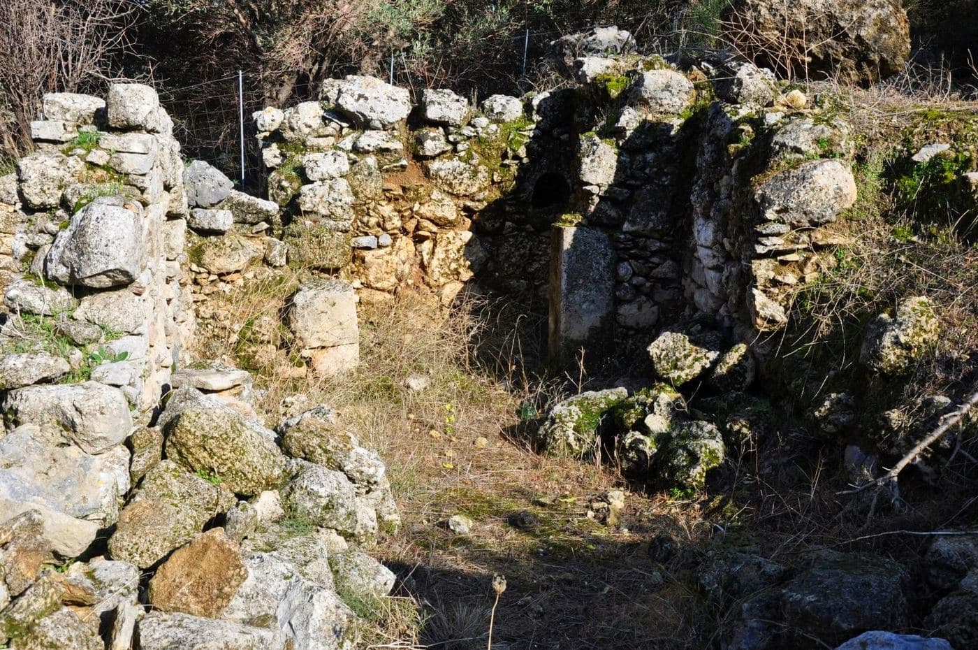 Saint Anthony monastery at Petali 2
