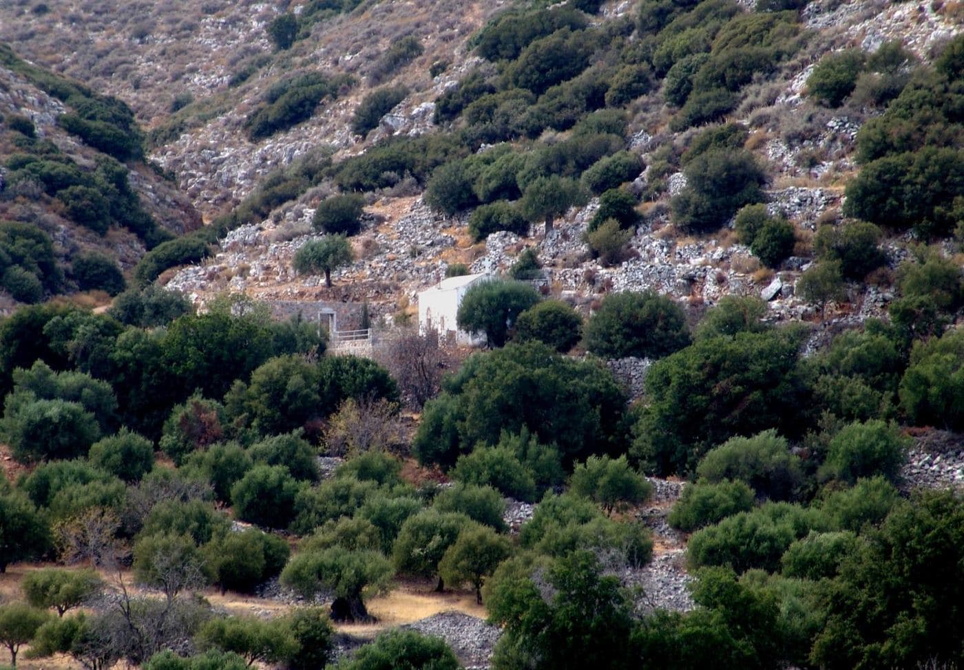 Saint Anthony Monastery in Karydi