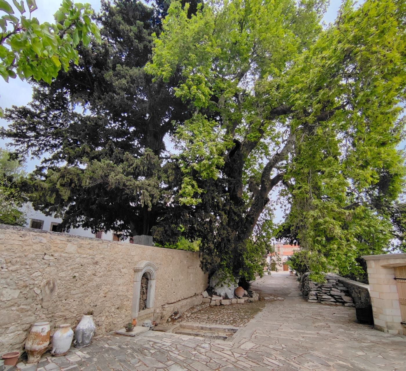 Saint George Gorgolainis Monastery 2