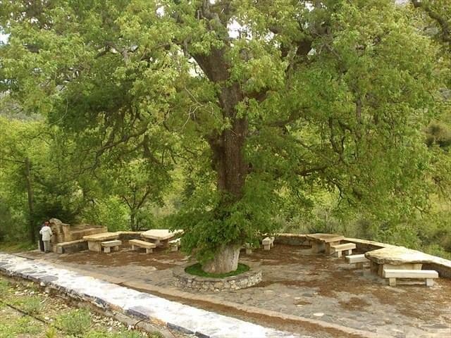 Saint John monastery (Fotis)