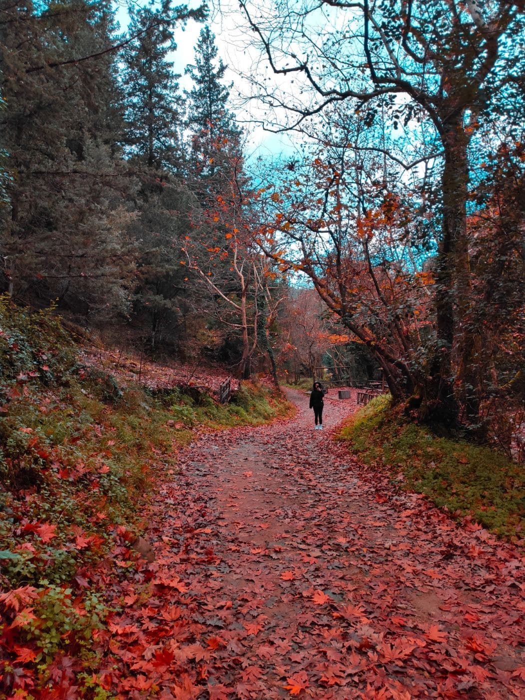 Sarakina Gorge, Meskla 2
