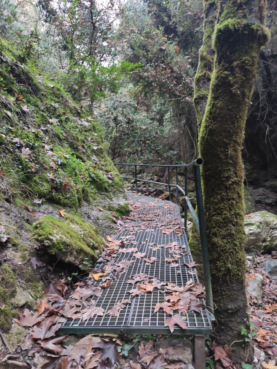Sarakina Gorge, Meskla 3