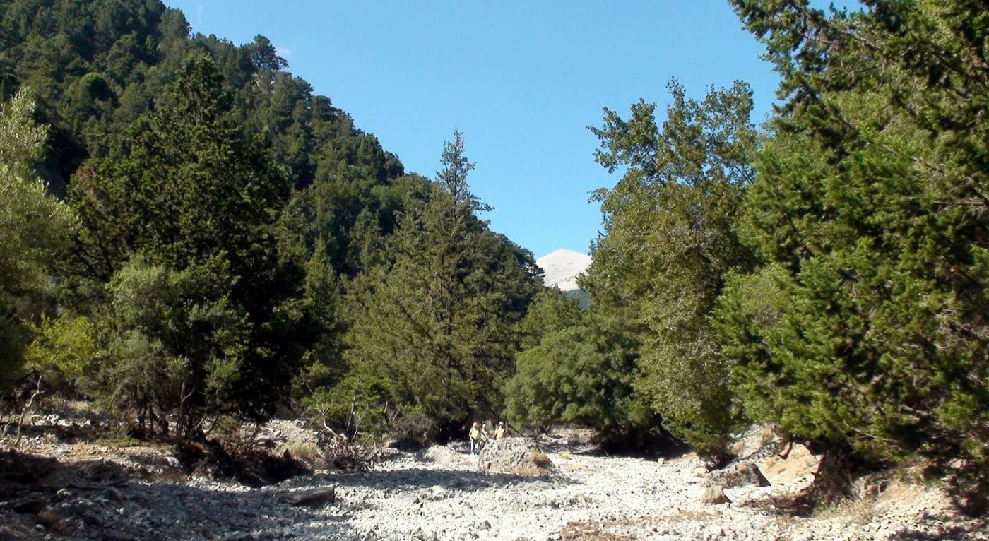 Sfakiano Gorge 2