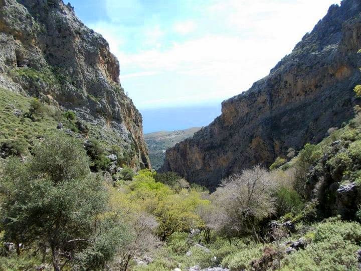 Skaloti Gorge