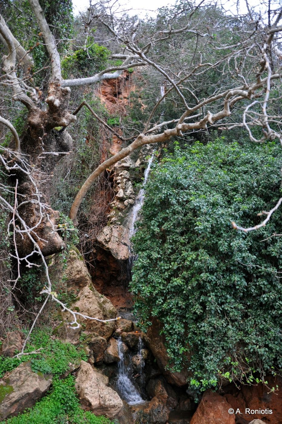 Skotini Waterfall at Fodele