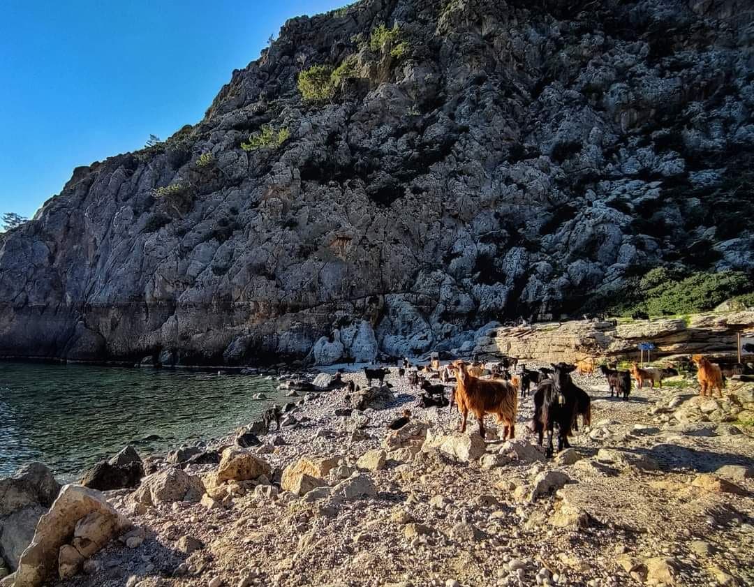 Sougia Beach