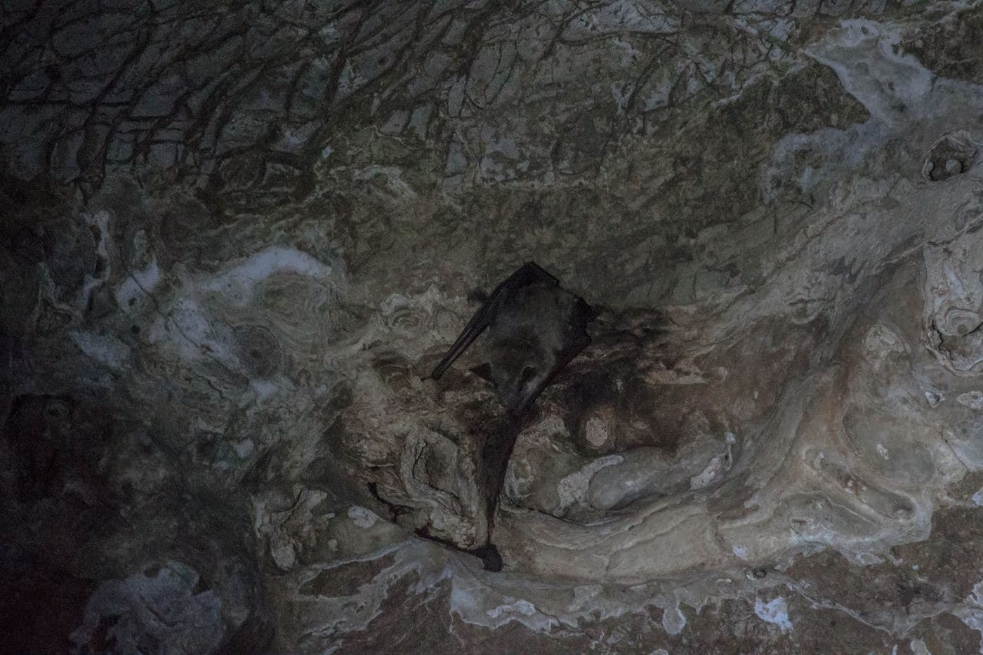 Theriospilios Cave at Kavousi 3
