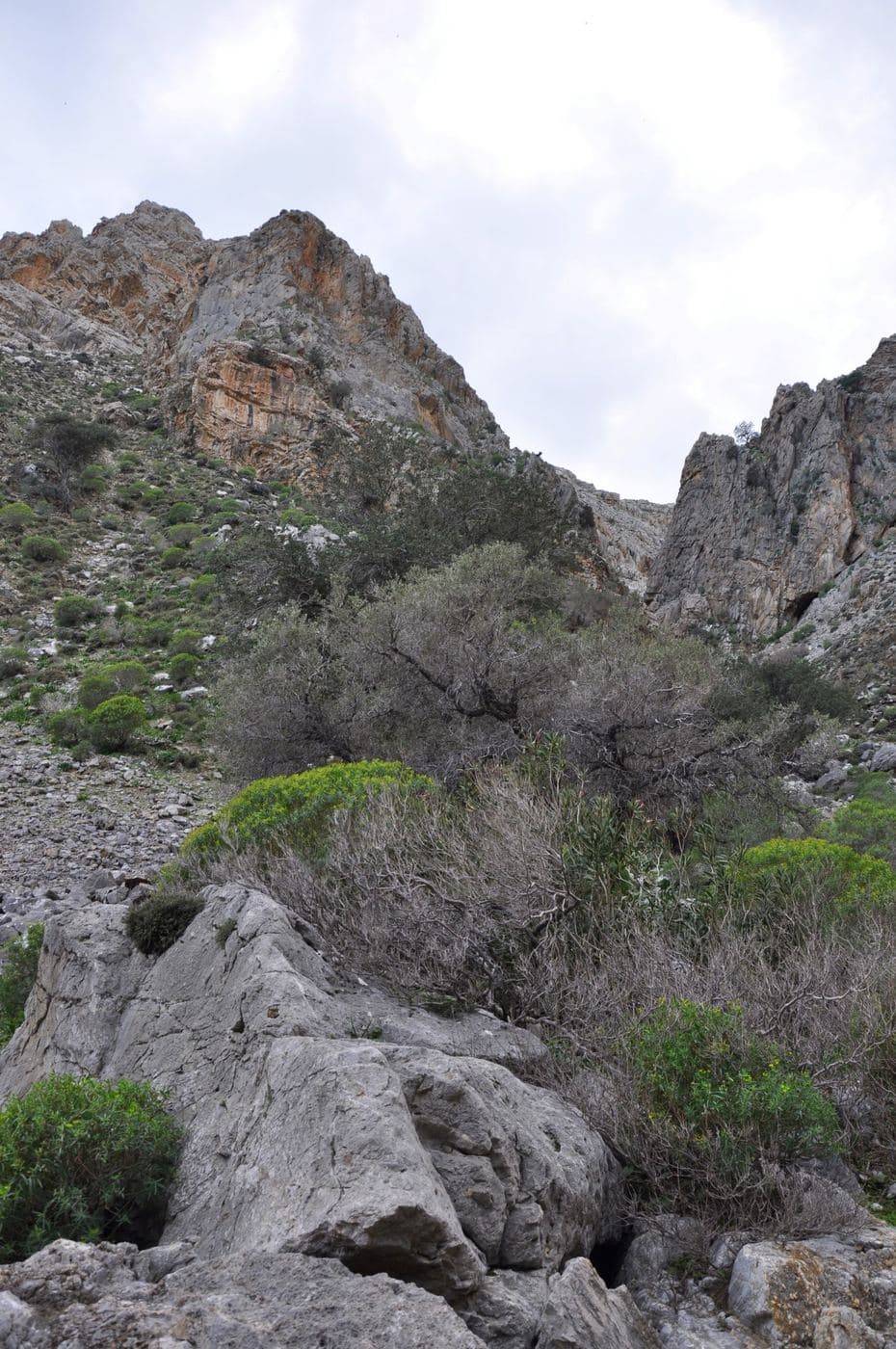 Ligiofarago Gorge