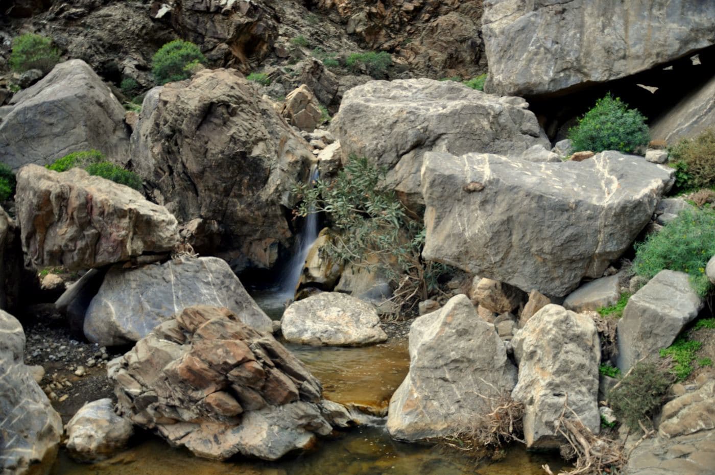 Ligiofarago Gorge 2