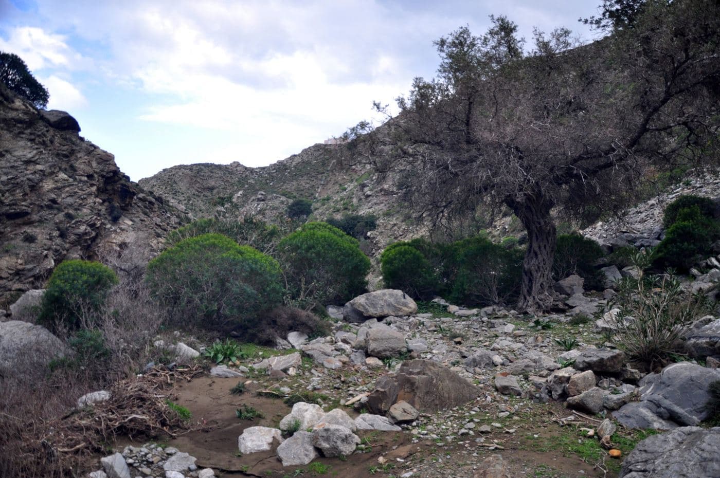 Ligiofarago Gorge 3