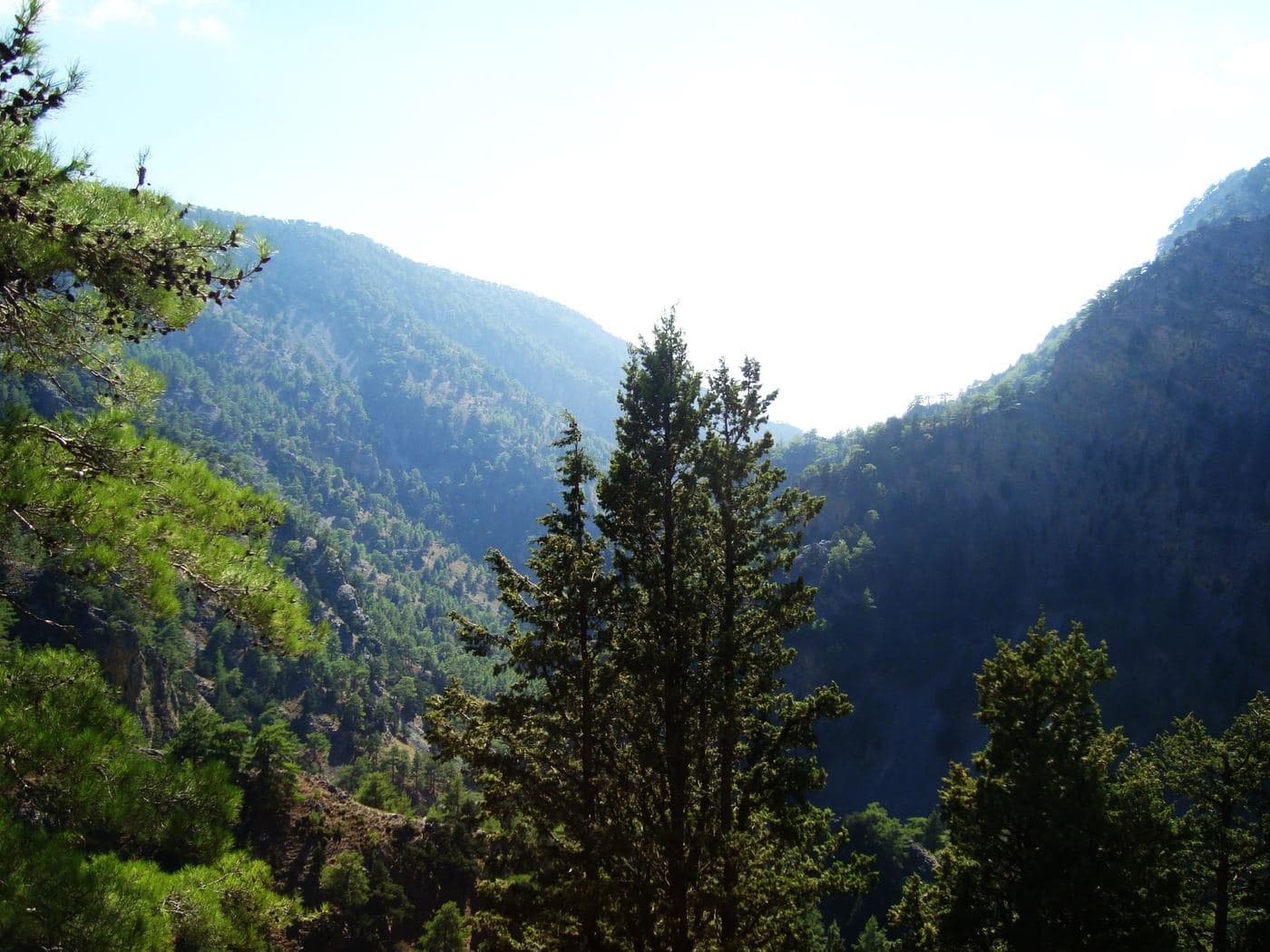 Tripiti Gorge