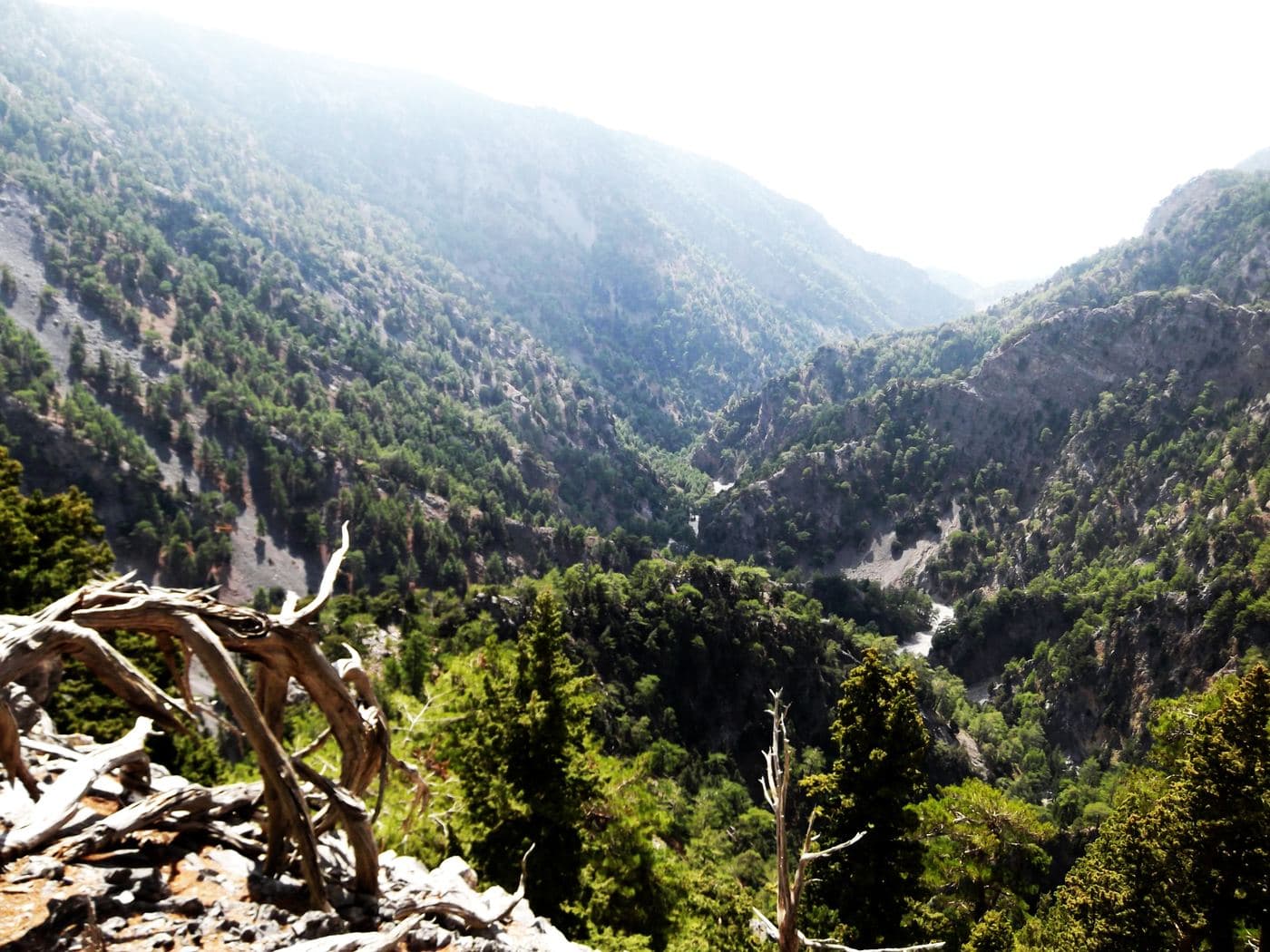 Tripiti Gorge 3