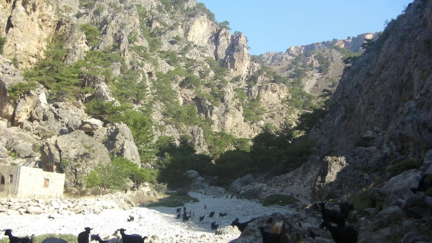 Tripiti Beach, Sfakia