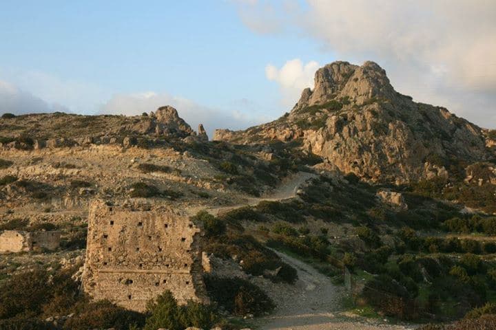 Vainia Tower 2