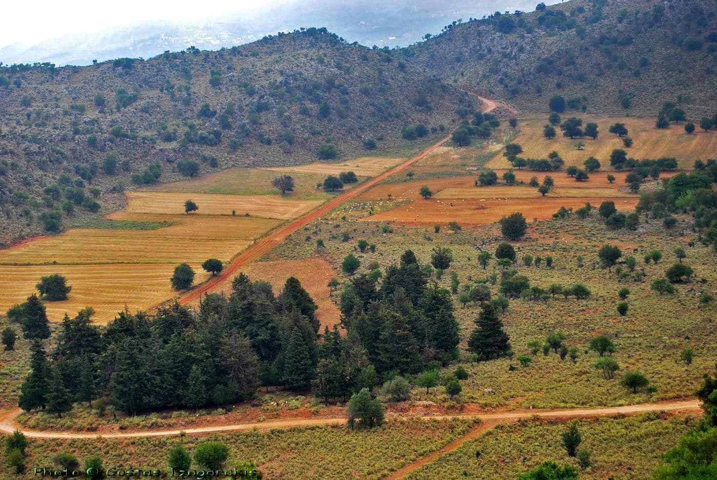 Vothonas Plateau at Vafes