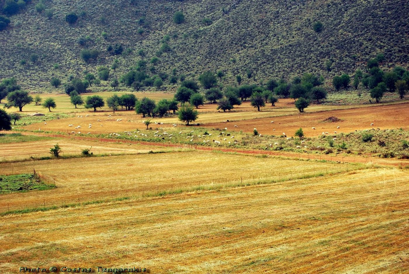 Vothonas Plateau at Vafes 2