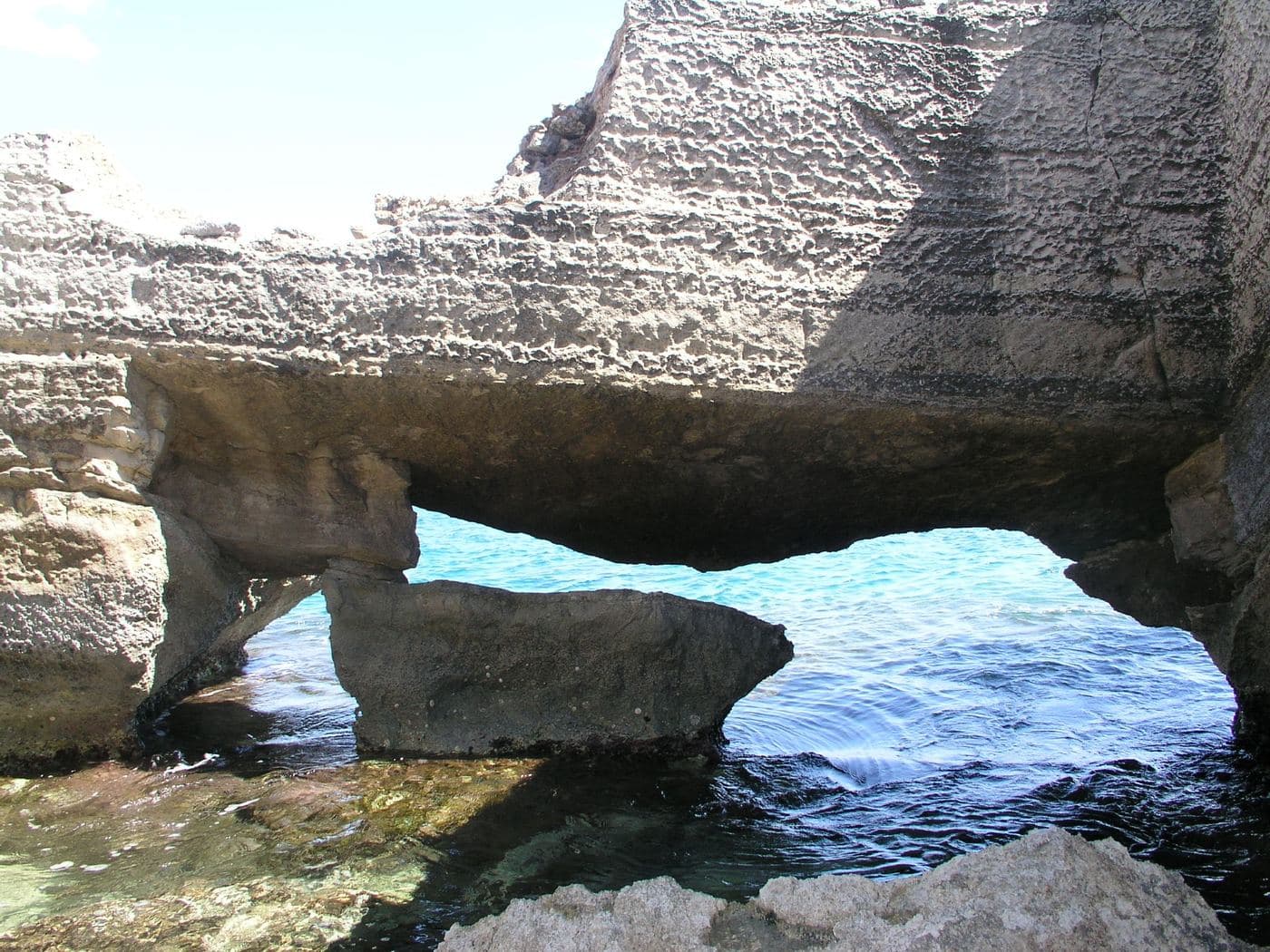 Vothoni Roman Fish Tanks 2