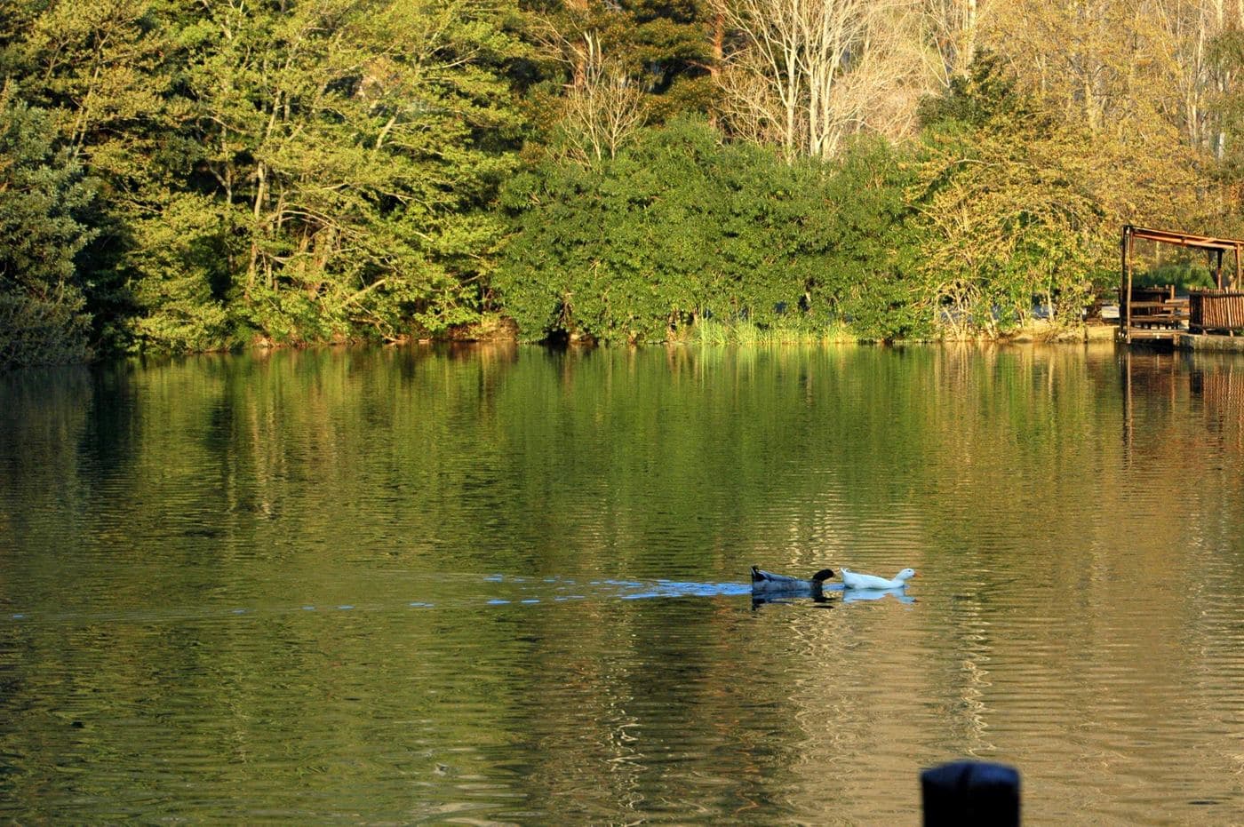 Zaros Lake (Votomos)