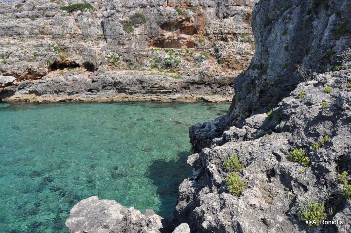 Vraskos beach