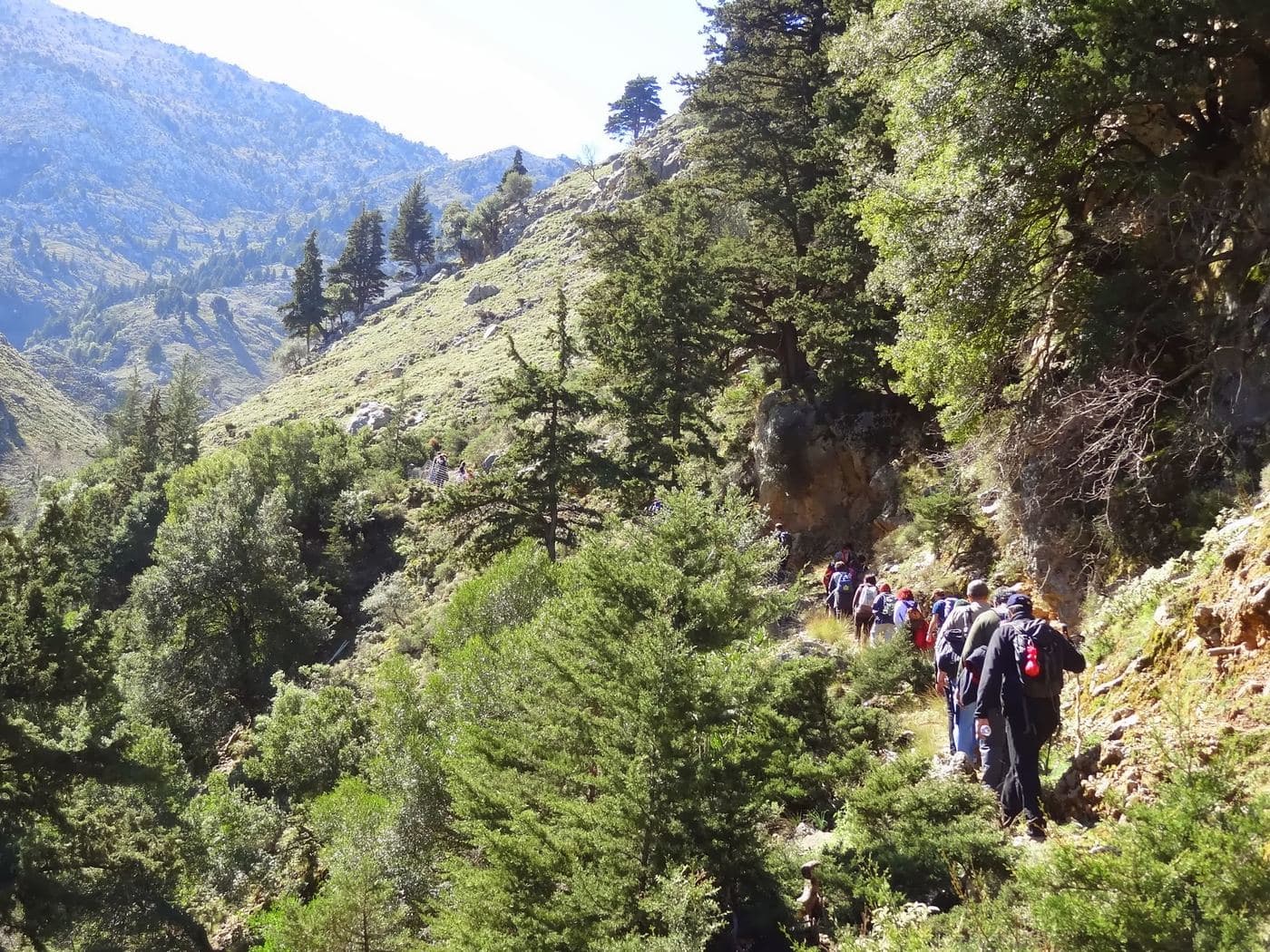 Vrissi Gorge 3