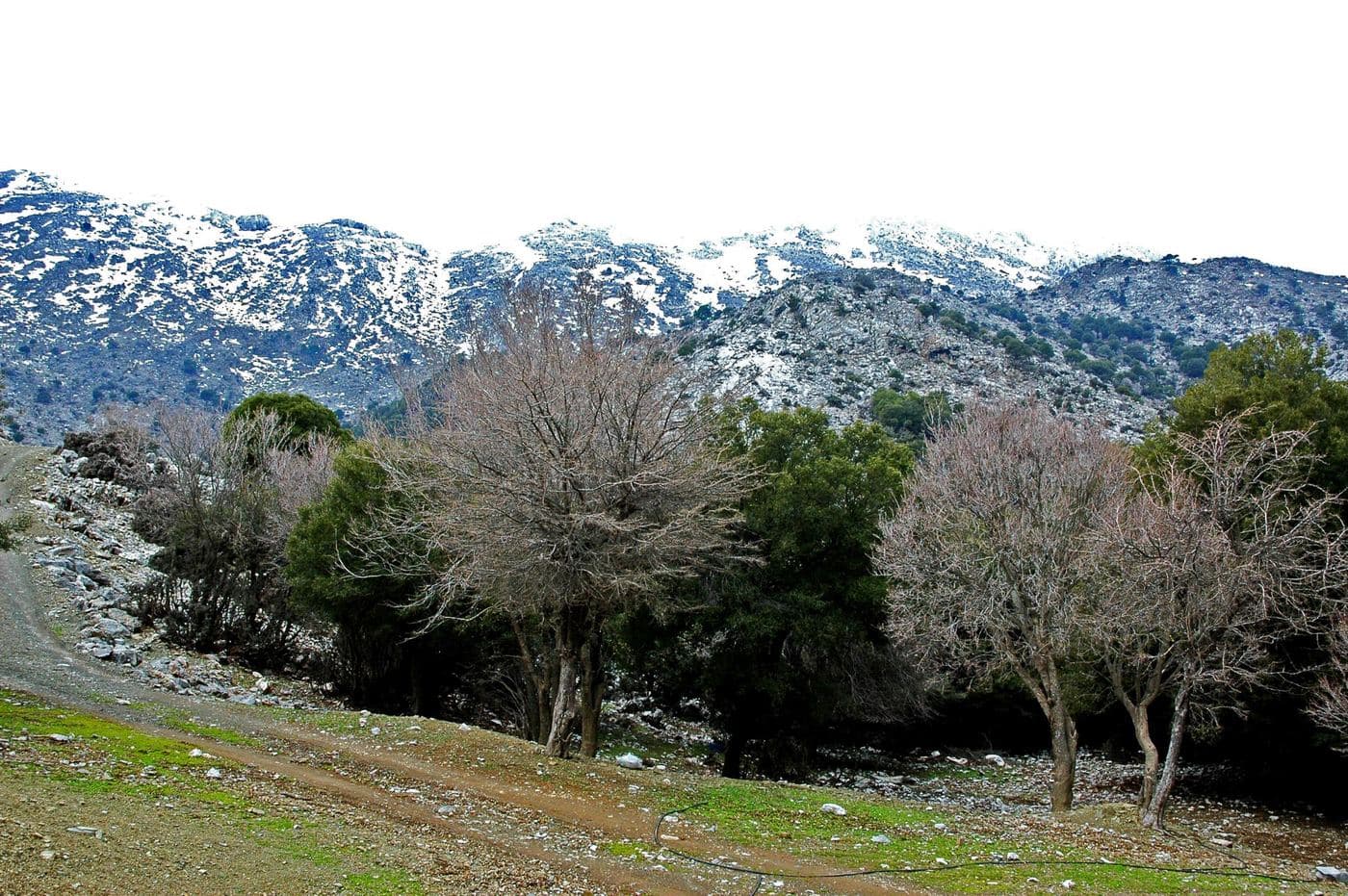 Vromonero plateau 2