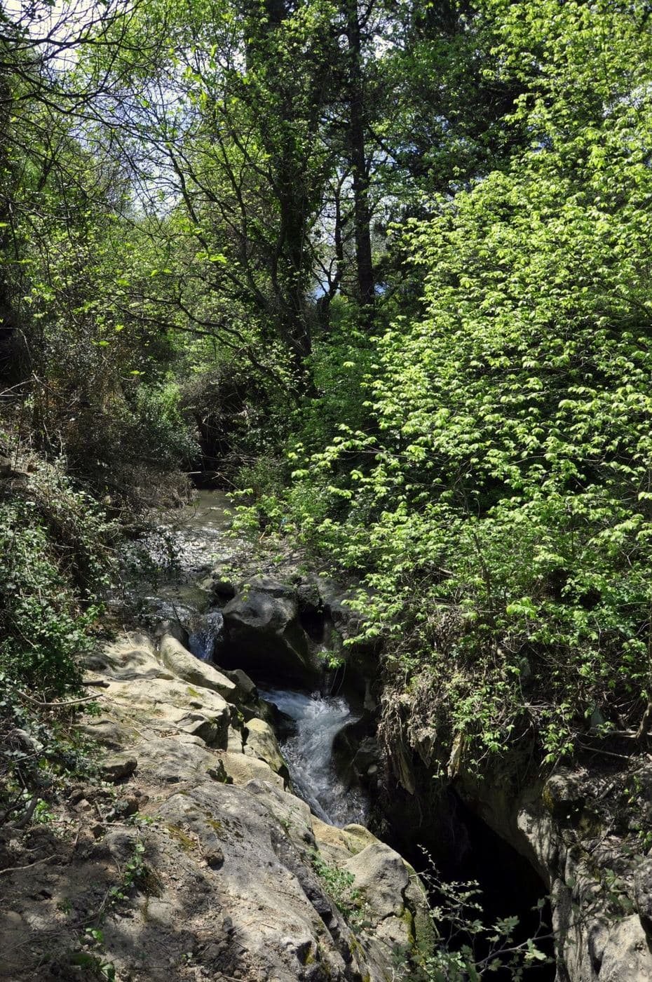 Xepatomenos Waterfall near Korfes
