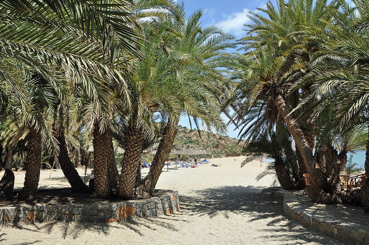Palm Beach Vai beach in east Crete, sand