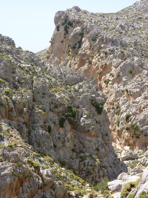 Agia Irini Gorge (Ziros) 2