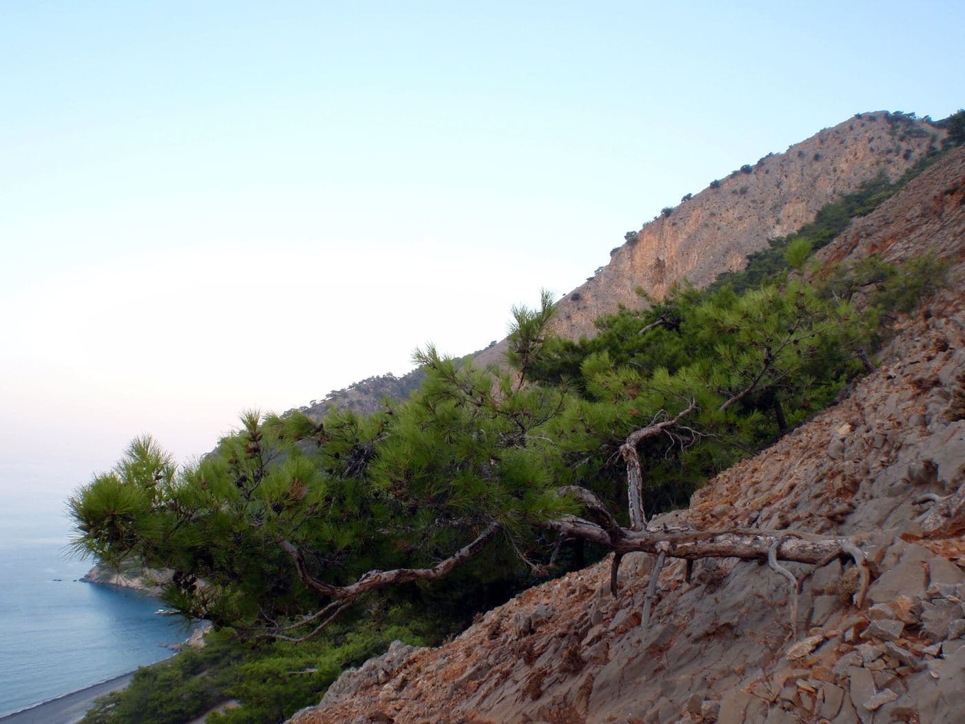 Agia Roumeli Koules 2