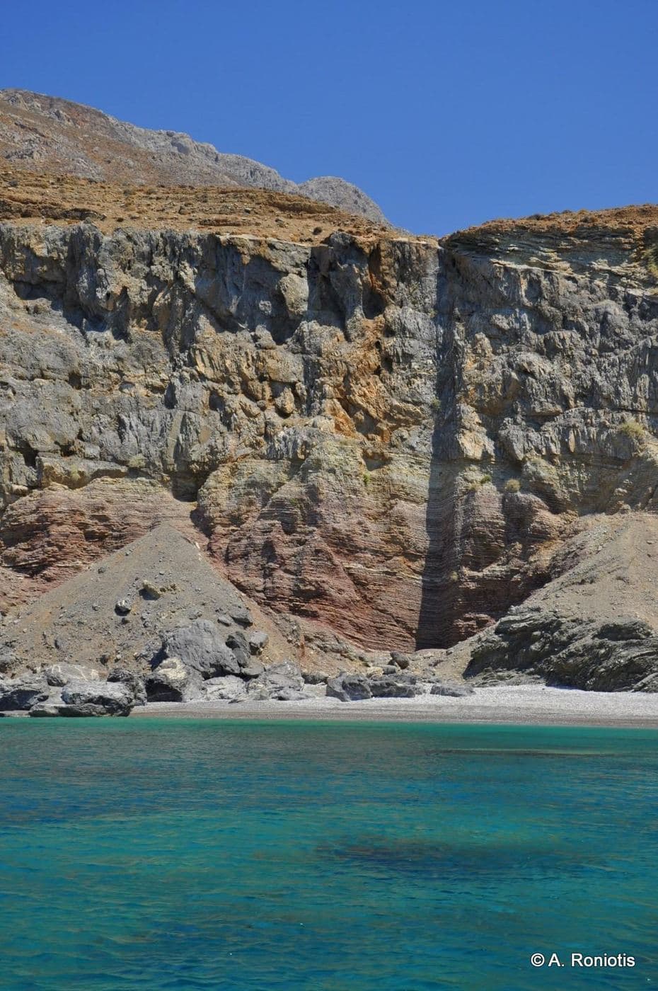 Agios Antonios palm grove 3