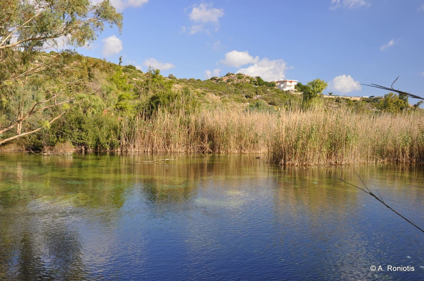 Almiros Wetland at Agios Nikolaos 3