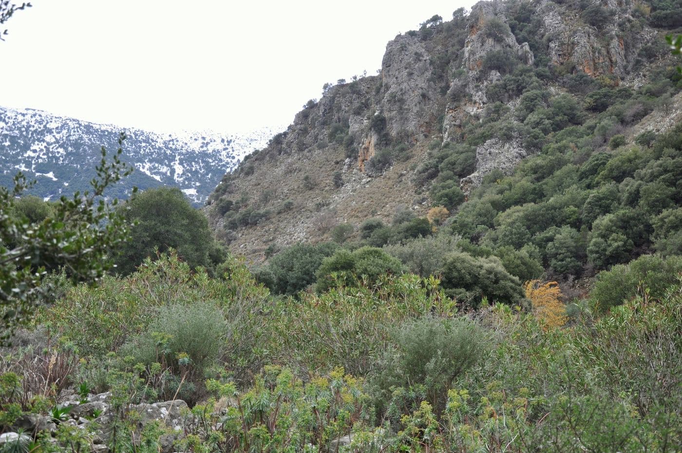 Ambelos Gorge 3