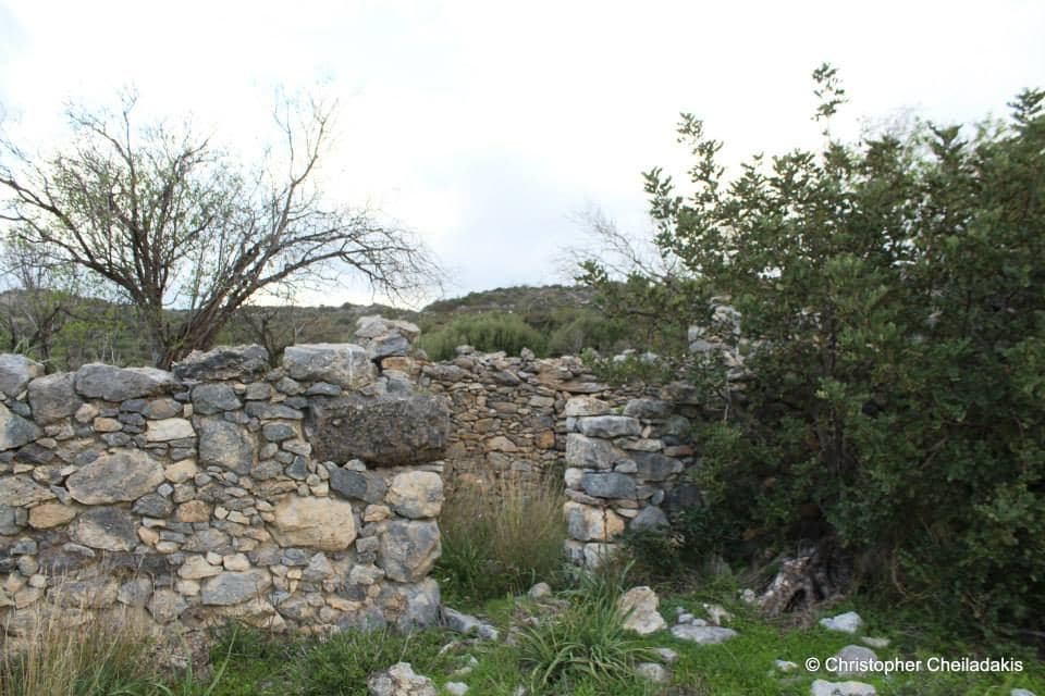 Amigdali near Kalo Horio 2