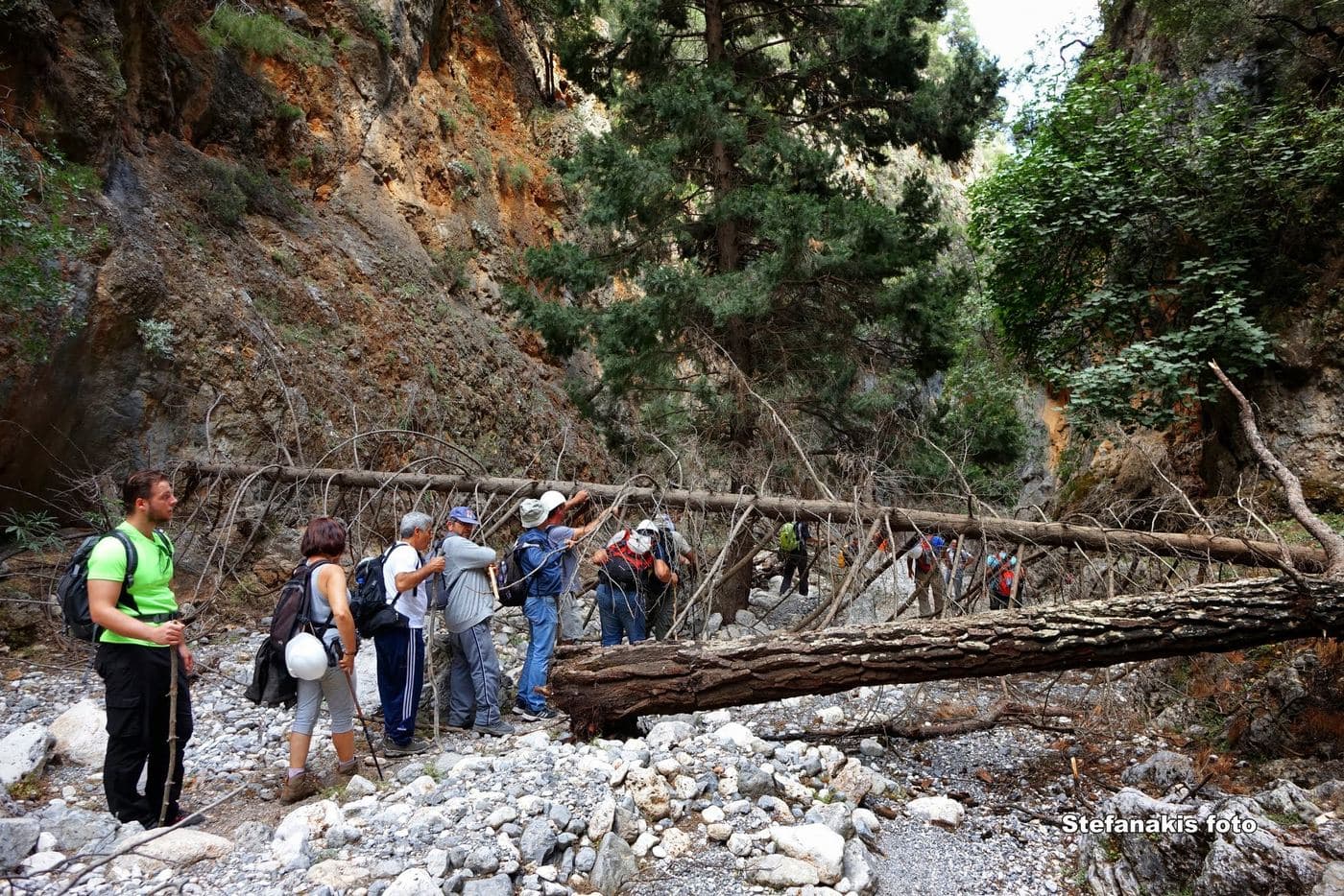Aradena Gorge 3