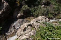 Argoulidias gorge in Karavados