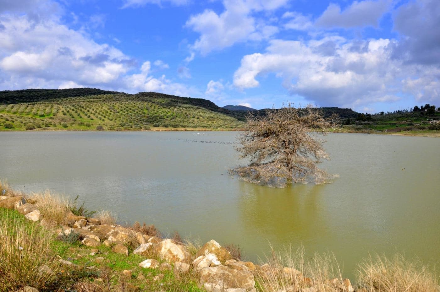 Armanogia Dam Lake 3