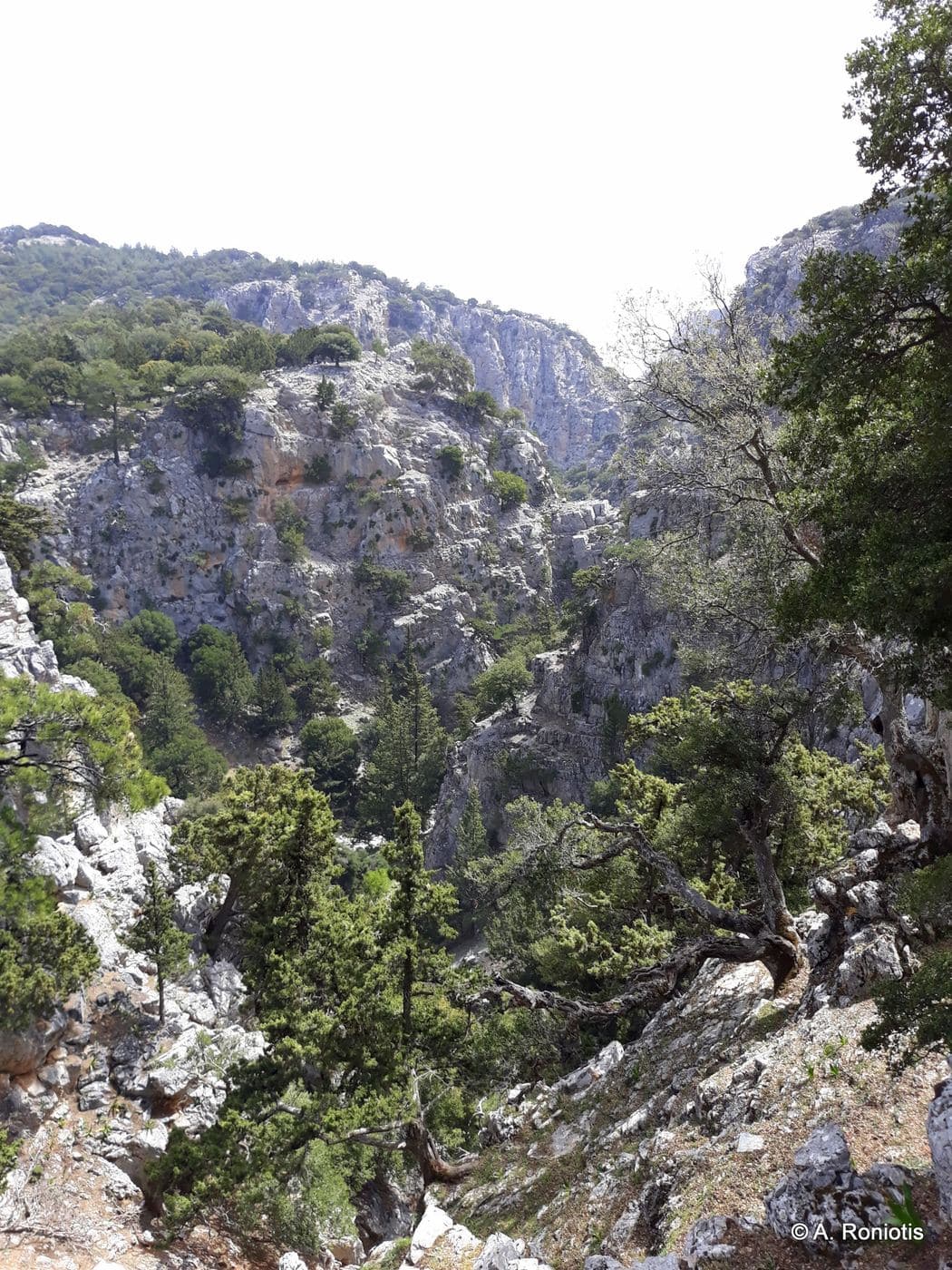 Boufanis Gorge 2