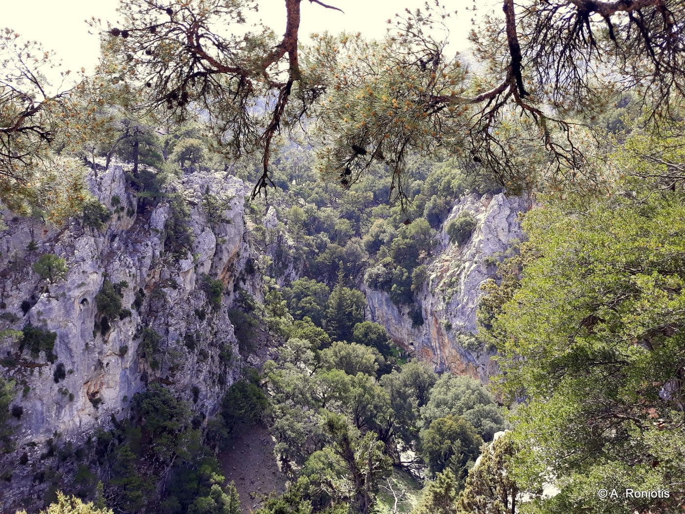 Boufanis Gorge 3