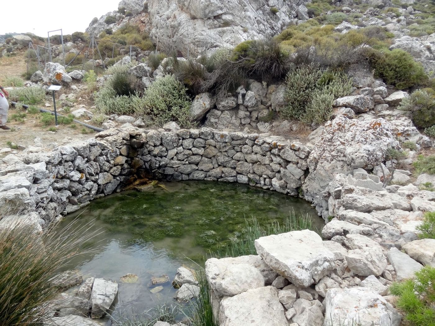Skalia near Zakros 2