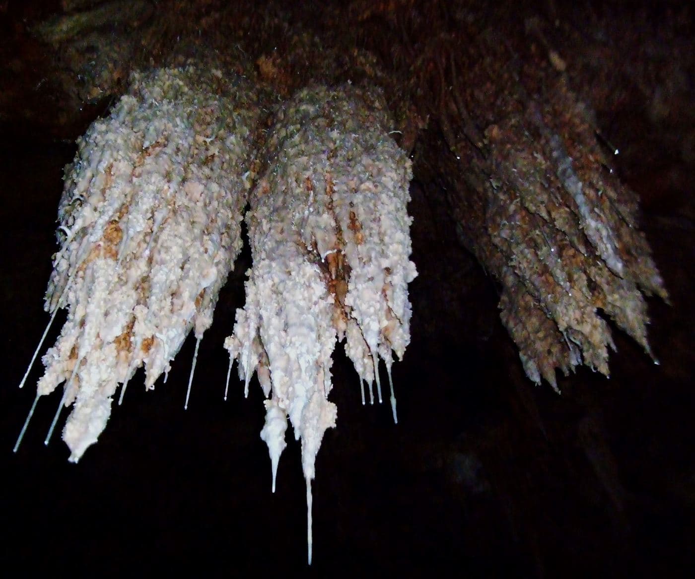 Cave of Elephants 3
