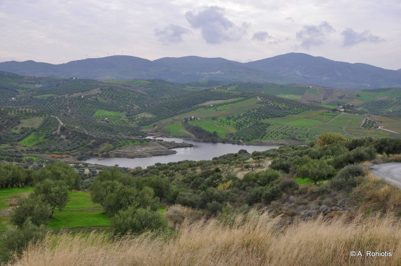 Chalavrianos Dam Lake 2