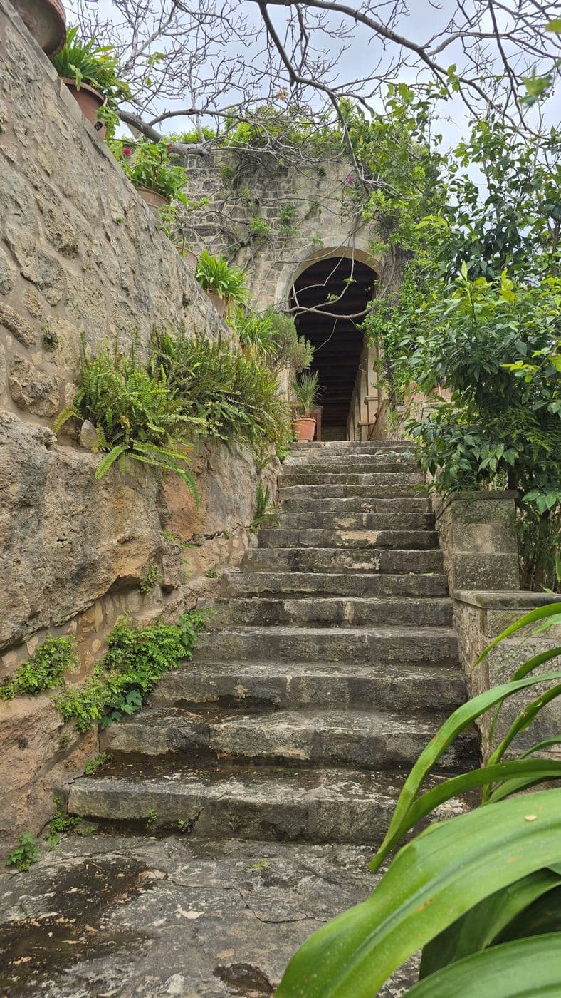 Christ Savior and Saint Gedeon Monastery at Margarites