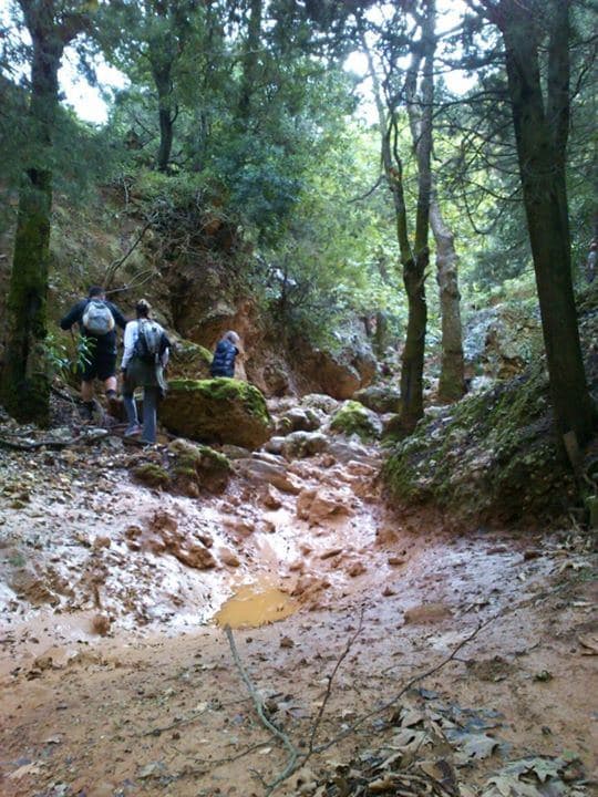 Cyclamen Gorge at Aletrouvari