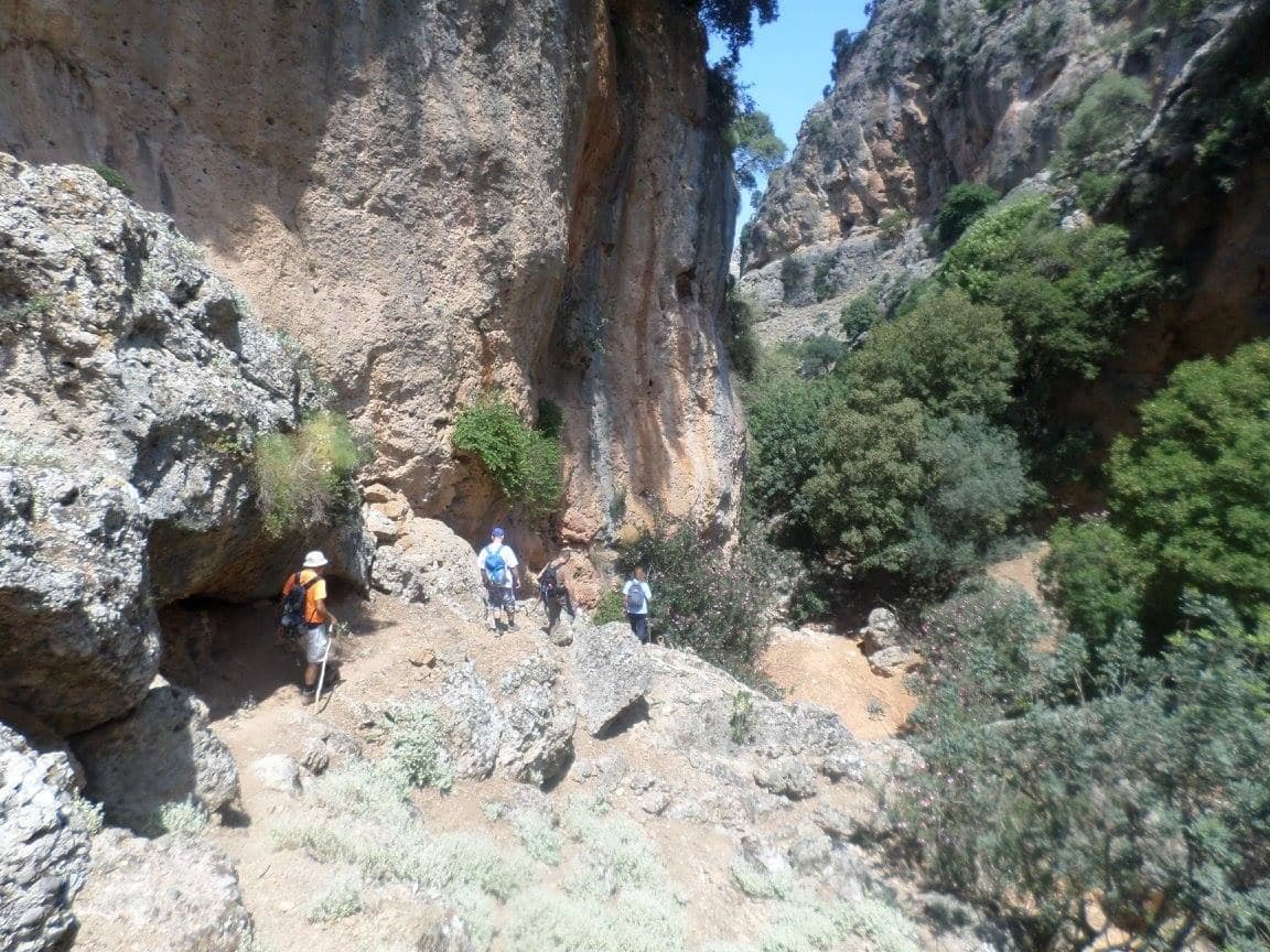 Cyclamen Gorge at Aletrouvari 2