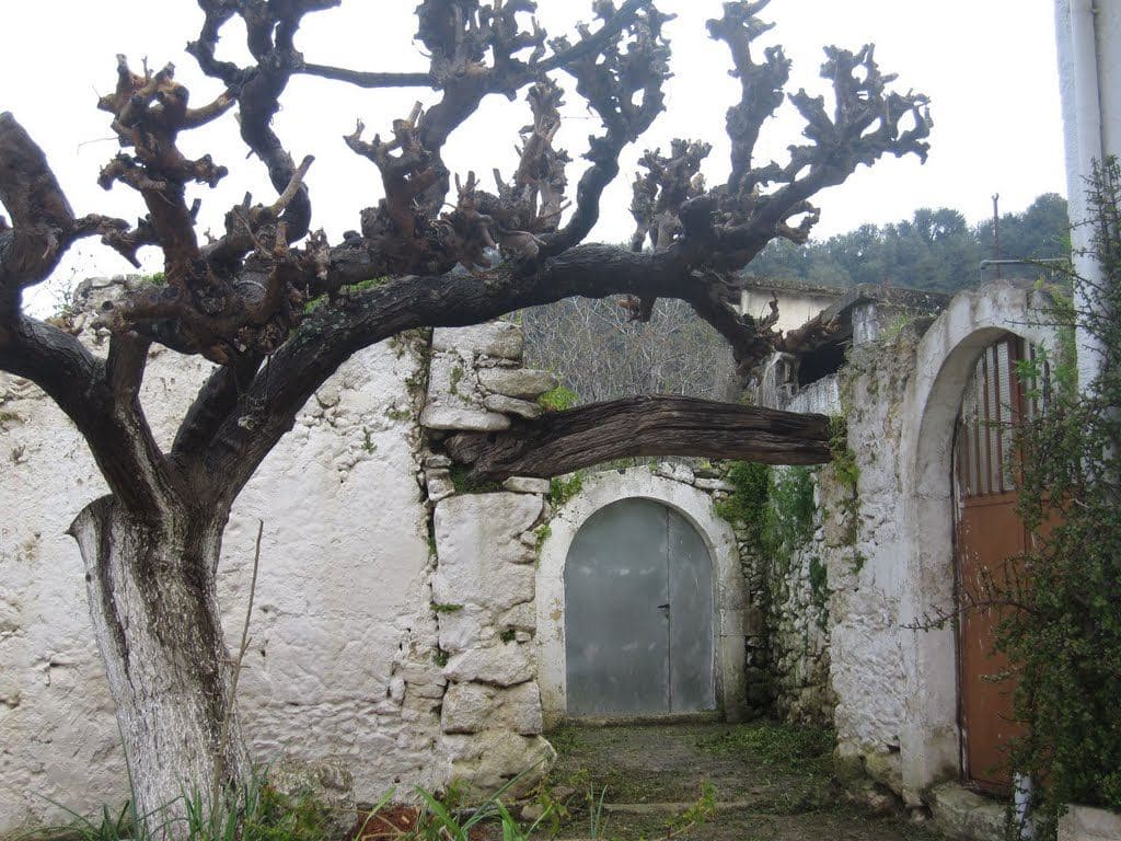 Trail Moundros - Agouseliana