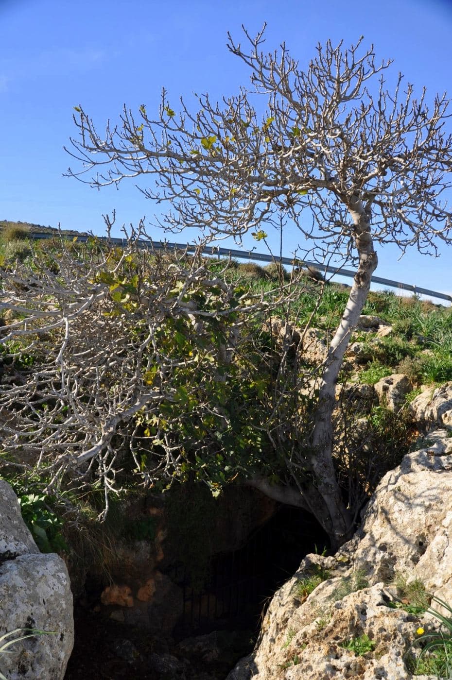 Eileithyia Cave at Amnissos