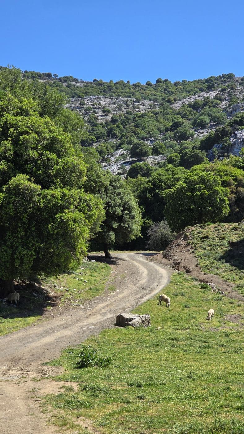 Evdomos Plateau at Gonies 2