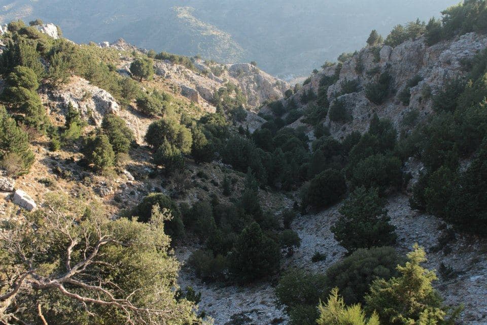Farangouli Gorge at Voriza