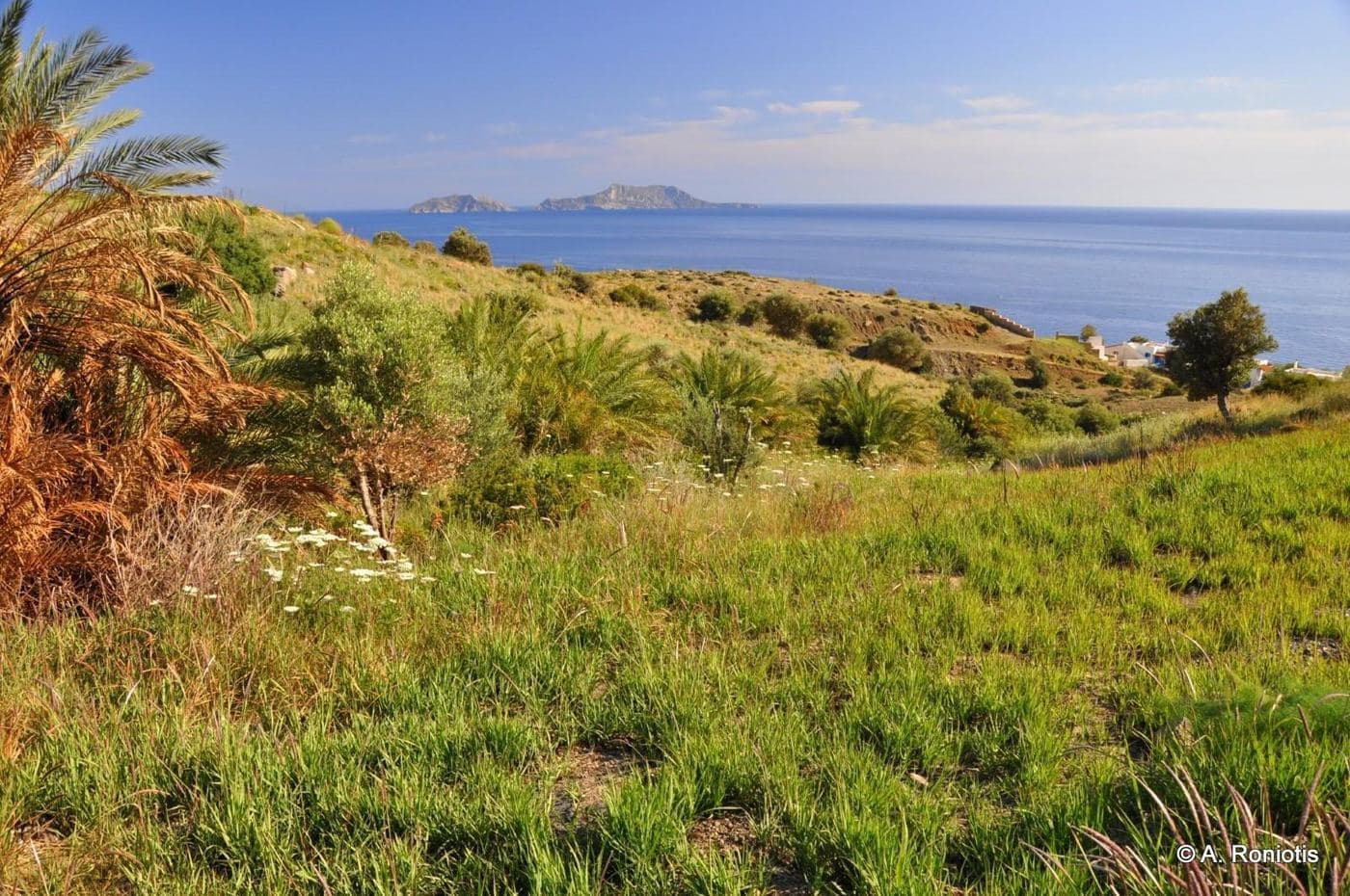 Finikidia beach at Agios Pavlos 3